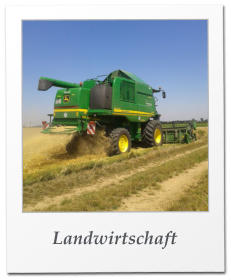 Landwirtschaft